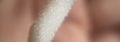 Плампер всех цветов заката Shik Lip gloss care Golden hour