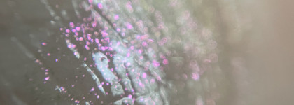 Мне категорически мало моих Pat Mcgrath Lust Gloss