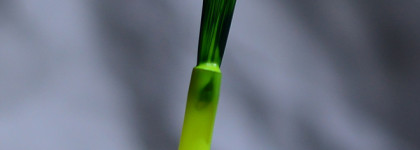 Catrice Neon Blast Polish 01 Energizing Yellow