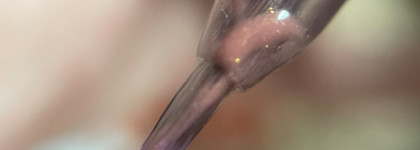 Курс на осень с Arive Makeup Comfort Shine Lip Gloss #10 Mild Surprise