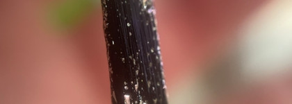 Kinetics SolarGel Glamcore #Success in Rose