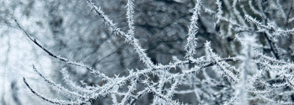 Итоги осени 2025