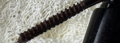 Тушь для бровей Ninelle Bohemia Tinted eyebrow mascara #644