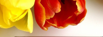 Блеск для губ Essence Xxxl longlasting lipgloss matt effect. Сравнение со знаменитой кремовой помадой Nyx Soft Matte Lip Cream