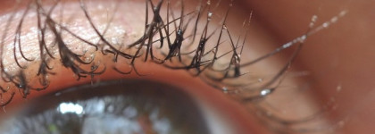 Ресницы говорят спасибо – «Масло для ресниц и бровей питательное» DNC