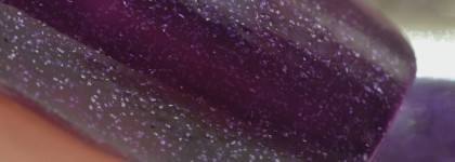 Возвращение легенды – Aurelia professional (лаки 24,25,28)