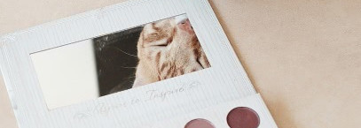 Палетка теней и хайлайтеров  Сarli Bybel (BH cosmetics)