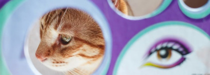 Мои психоделические 60е с палеткой теней "Eyes on 60s" от bh cosmetics