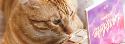 Весенняя палетка Tartalette "In Bloom" Palette от Tarte