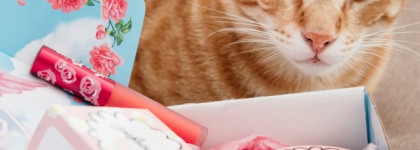 Блестящая новинка от Lime Crime Superfoils