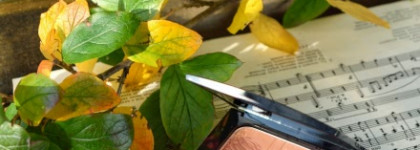 Румяна и помада из осенней коллекции «The Sound of Beauty» от Artdeco