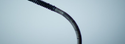 Новая тушь от Mac Pro Beyond Twisted Lash black. Протестируем?