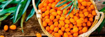 Kleona: уход за лицом