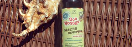 Серия Bon Voyage: собираемся отпуск с Kleona