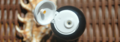 Серия Bon Voyage: собираемся отпуск с Kleona