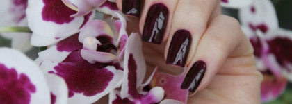 Dance Legend Эмаль Glass, оттенок 1058