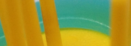 Милая обманщица, или сможет ли подделка заменить итальянку Janeke