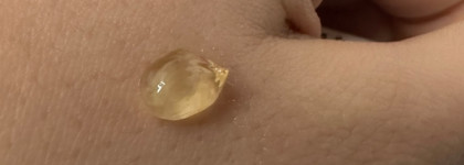 Первое знакомство с Zeitun