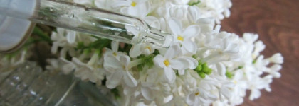 О, милый Лотос! Clarins Lotus Face Treatment Oil