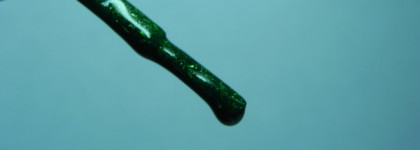 Ёлка во флаконе NailLook Xmas tree 31473