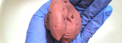 Мой маленький герой: тонирующий мусс для волос Schwarzkopf Professional Igora Expert Mousse