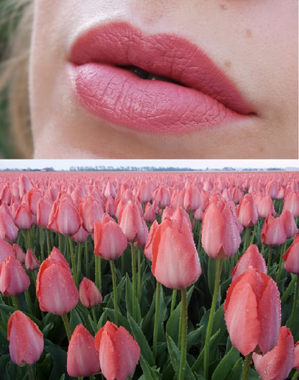 Жидкая помада с сатиновым финишем ColourPop Ultra Satin Lip:
