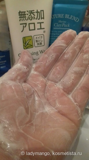 Очищение чувствительной кожи Rosette Cleansing Wash - Традиции Японского Качества
