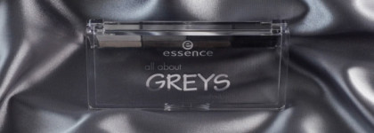 Feel the thunder - Essence All About Greys Eyeshadow Palette