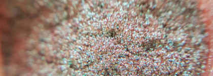 5 оттенков пигментов Tammy Tanuka из летней коллекции Sigil Inspired "Не Будите Спящего Льва"