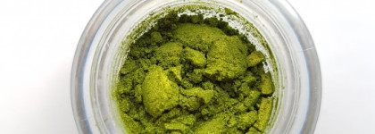 Tammy Tanuka. Sigil Inspired. Сокрывшая Хризолитовый Грот