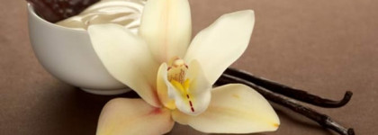 Такие одинаковые, но в то же время разные Coco Mademoiselle Chanel и Coco Noir Chanel