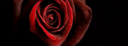 Такие одинаковые, но в то же время разные Coco Mademoiselle Chanel и Coco Noir Chanel