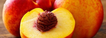 История моего знакомства с Fleur Narcotique Ex Nihilo EDP