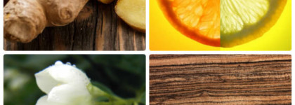 Огненный красавец Armand Basi In Red eau de parfum