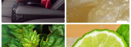 Розовый или все-таки черный Black Muscs Alexandre.J?