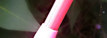 "И не друг, и не враг, а так...": обзор продуктов от корейской марки Tony Moly