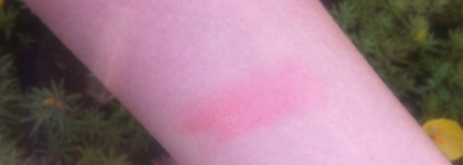 "И не друг, и не враг, а так...": обзор продуктов от корейской марки Tony Moly