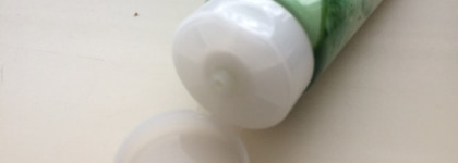 О легендарном: пенка для лица с экстрактом алоэ вера Tony Moly Clean Dew Aloe Foam Cleanser