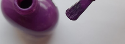 Отличник! Nailor Шиле #509 NP