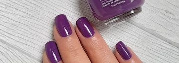 Отличник! Nailor Шиле #509 NP