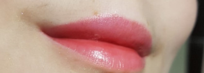 Эти блески можно носить под маской! Самый стойкий блеск? Loreal infallible Mega gloss: 501, 503, 509, 108, 206. Подробнейший разбор текстуры и состава