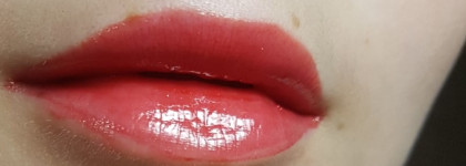 Эти блески можно носить под маской! Самый стойкий блеск? Loreal infallible Mega gloss: 501, 503, 509, 108, 206. Подробнейший разбор текстуры и состава