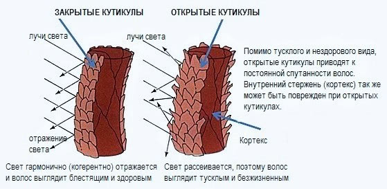 История ухода за волосами без прикрас Часть 2