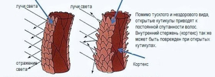 История ухода за волосами без прикрас Часть 2