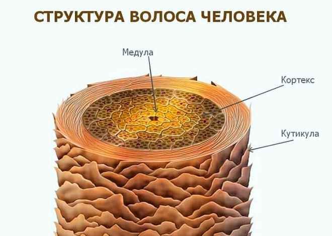 История ухода за волосами без прикрас Часть 2