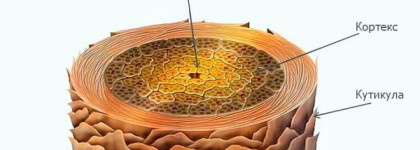 История ухода за волосами без прикрас Часть 2