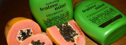 OGX tea-tree-mint shampoo and conditioner