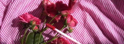 В розовом цвете. Блеск для губ Stellary в оттенке 04