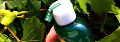 Блеск, мягкость и красота. Шампунь с Био-Алоэ и Вербеной от Logona