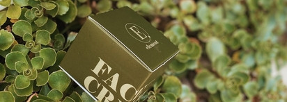 Приятная текстура и работающая формула - увлажняющий крем для лица Element green tea extract + amino acids